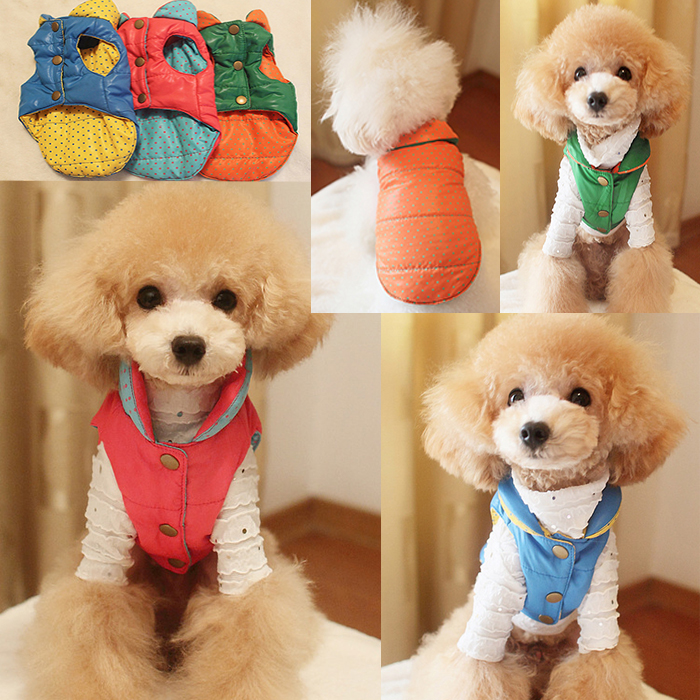 Something New for your Doggy? | Buyandship Singapore