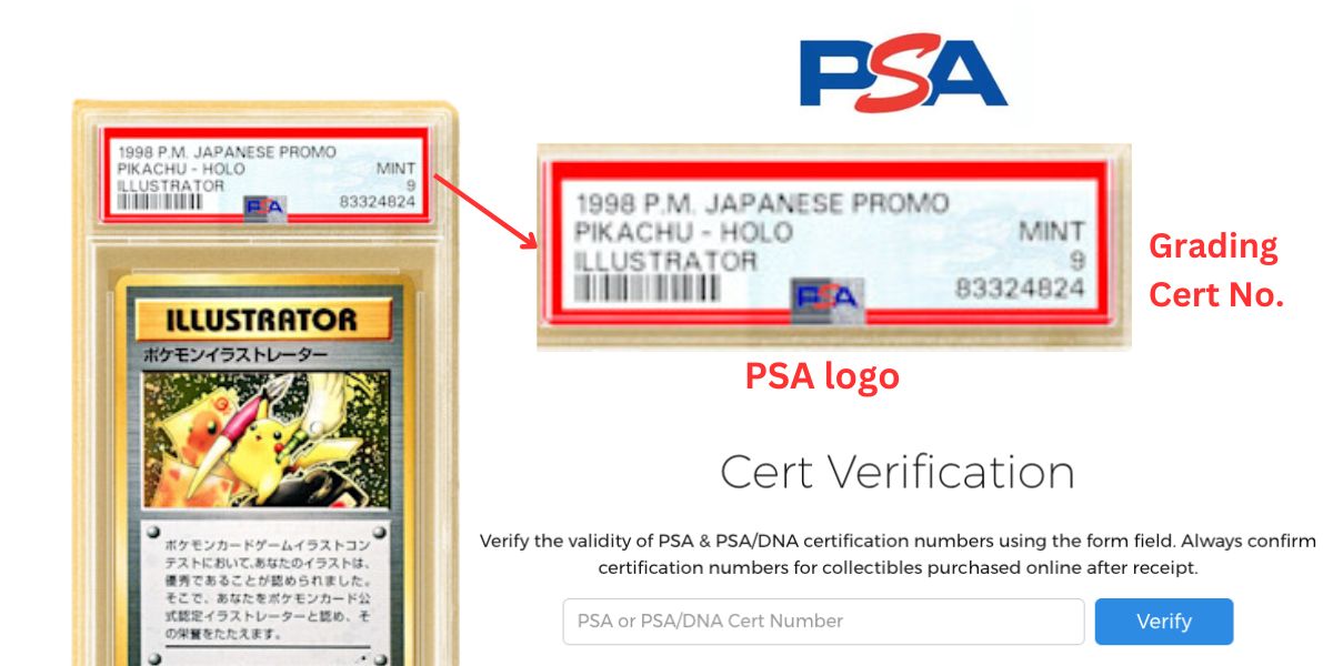 Look for PSA-certified Cards